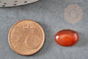 Cabochon cornaline orange, cabochon ovale, cornaline naturelle, cabochon pierre, 10x14mm, X1 G2020