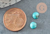 Cabochon howlite naturelle turquoise 6mm, cabochon rond en pierre naturelle, X1 G1010