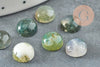 Cabochon rond agate mousse verte 8mm, cabochon rond, agate mousse naturelle, cabochon pierre,agate mousse, x1 G2422