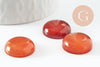 Cabochon rond cornaline naturelle orange 20mm, cabochon création bijoux pierre naturelle, x1 G9617