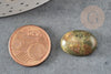 Cabochon unakite, cabochon ovale,unakite naturelle,cabochon turquoise, 18x13mm,18x13mm, X1 G2482