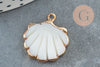 Pendentif coquillage nacre blanche naturelle doré 23mm, x1 (G3055)