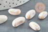 Perles coquillage bisque beige 13-18mm,fabrication bijoux, Perles coquillage, perle ronde,coquillage naturel, x10 G0649