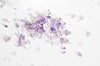 Sable améthyste violette naturelle brute roulée 3-9mm,pierre naturelle,litotherapie,chips création bijoux et jesmonite,Sachet 20 grammes-G5171