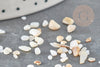 Sable coquillage nacre naturelle beige blanc 2-5mm, création bijoux et jesmonite, X 20gr G9309