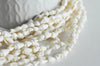 Coquillages percés blanc, coquillages naturels,bijoux plage,vacances coquillage, le fil de 135, x1 G7987