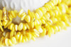 perles coquillage naturel, chips coquillage jaune,coquillage jaune,perle coquillage, 20mm,le fil 76cm,x1 G8049