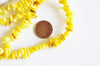 perles coquillage naturel, chips coquillage jaune,coquillage jaune,perle coquillage, 20mm,le fil 76cm,x1 G8049