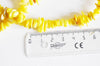 perles coquillage naturel, chips coquillage jaune,coquillage jaune,perle coquillage, 20mm,le fil 76cm,x1 G8049